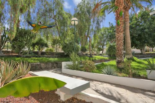 Arona Apartment | PARROT PARADISE STUDIO, WiFi, Smart Tv, Pool