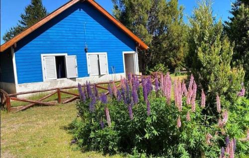 Trevelin Ski Chalet | Patagonian Cabin