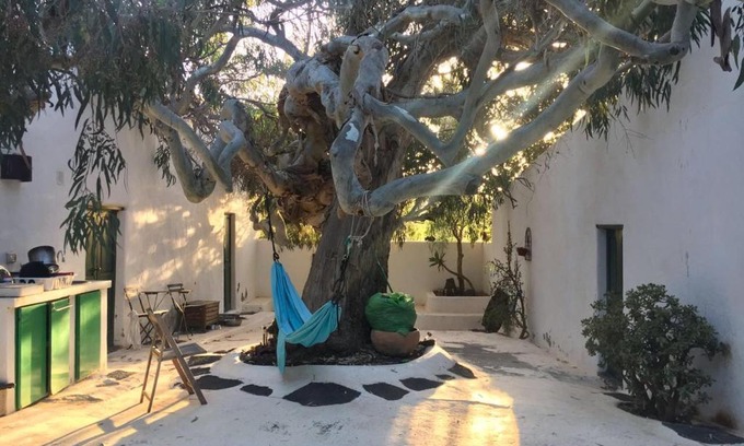La Asomada Bed & Breakfast | Patio II studio at finca