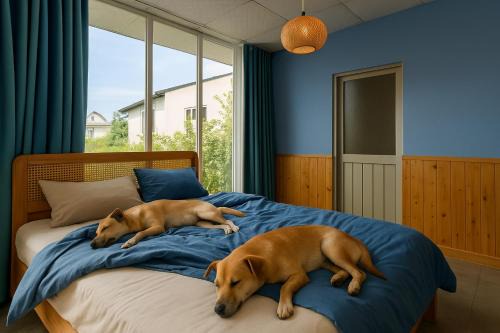 Mang Yang Bed & Breakfast | Pawfect Dining & Stay Pet Friendly Hotel in Da Lat