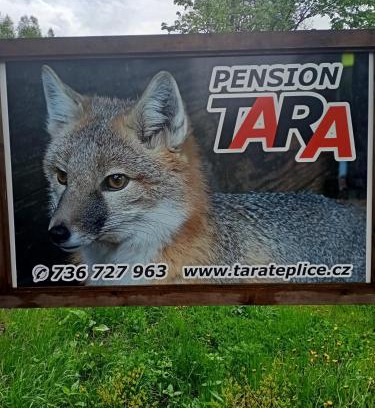 Teplice nad Metuji House | pension TARA
