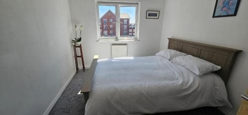 Butetown Apartment | Perfect for WMC, principality stadium and Utilita Arena