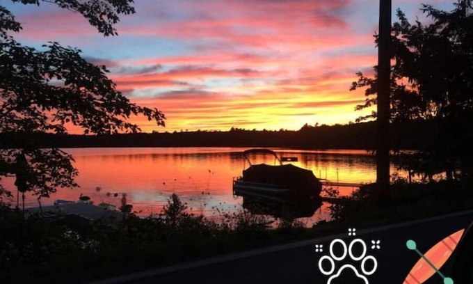 Paupack Cabin | Pet Friendly Lakefront Cabinn
