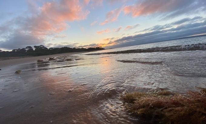 Phillip Island Cabin | Pet friendly Tiny bungalow - 5 minute walk to the beach!