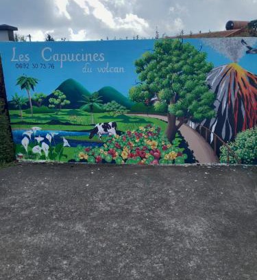 La Plaine des Cafres Bed & Breakfast | petite chambre vue piton des neiges Les Capucines du volcan