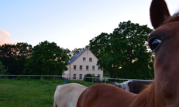 Samtens Apartment | Pferdehof Muhlitz on Rügen, an idyll for individualists