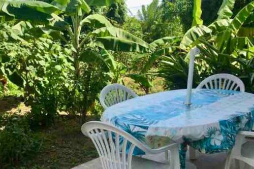 Sainte-Anne Apartment | Pied-à-terre avec grand jardin, au Calme, 10min des plages, Parking gratuit