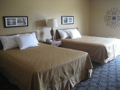 Norway Hotel | Pine View Resort