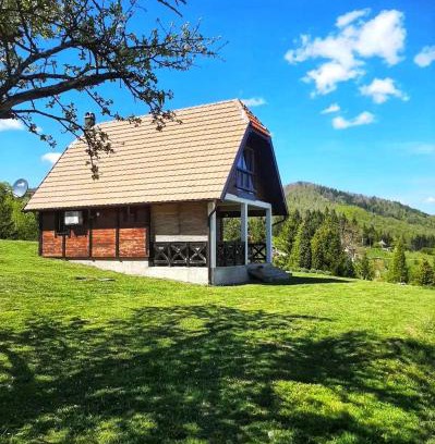Bajina Basta House | Planinska kuca Olga-Tara