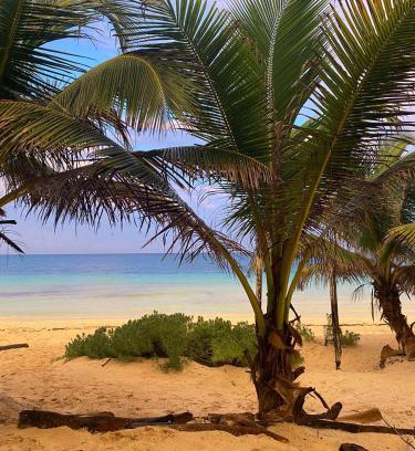 Zona Hotelera Other | Playa Lakin-ha beachfront cabins