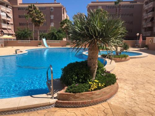 Santa Pola Apartment | Playa Lisa Studio