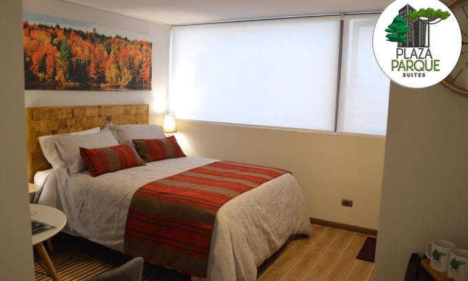 Concepcion Apartment | Plaza Parque Suites 1109