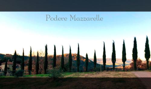 Castel del Piano House | Podere Mazzarelle