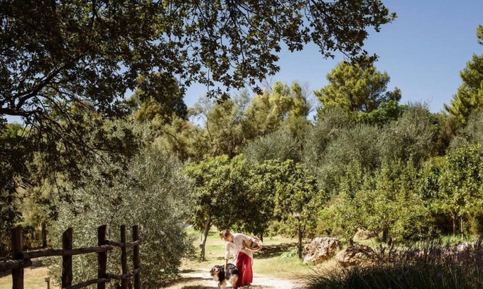 San Vincenzo Other | Poggio Ai Santi