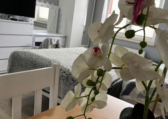 Jaroslawiec House | Pokoje gościnne U Sylwii