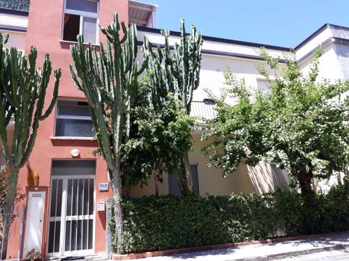 Praia a Mare Bed & Breakfast | Porto di Mare