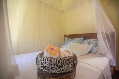 Caraiva Hotel | Pousada Deus mim Deu