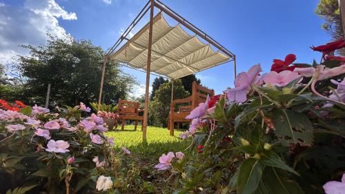 Monte Verde Hotel | Pousada Flor de Lua Monte Verde