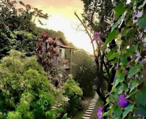 Sao Jorge Hotel | Pousada Trilha Violeta