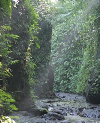 Payangan Resort | Pramana Giri Kusuma