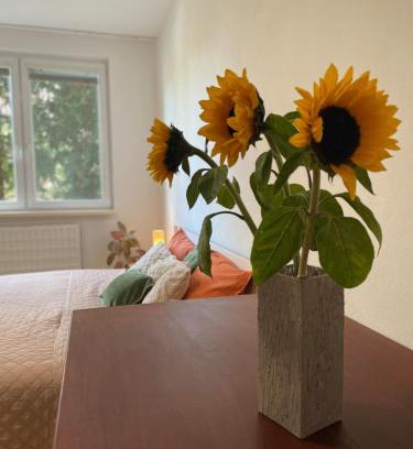 Nitra Apartment | Priestranný byt pár min od centra