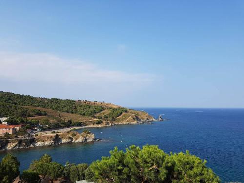 Banyuls-sur-Mer Apartment | Profitez De La Vue !