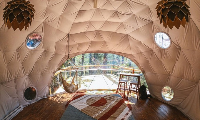 Rogers Hotel | Puma Dome Treehouse: part of the dome town village