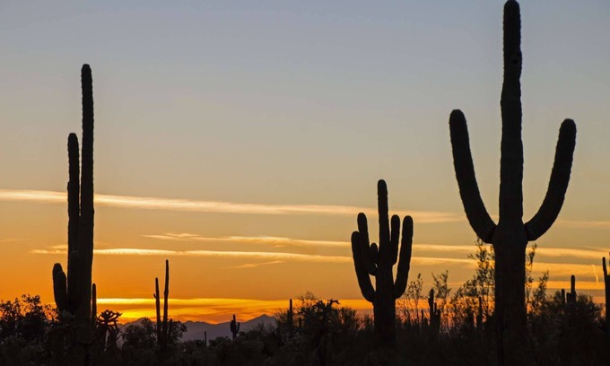 Pima Meadows House | PVT backyard w Gated Pool & BBQ, Dog Friendly, WIFI, Close to ASU, 101 Freeway & Old Town Scottsdale