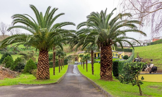 Povoacao House | Quinta das Palmeiras