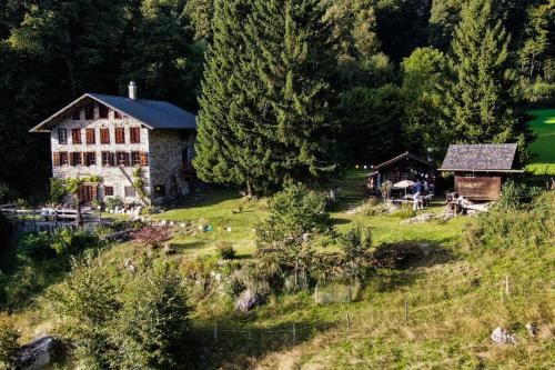Reichenbach Apartment | Rauft-Perfekter Rückzugsort für besondere Feierlichkeiten 2500 m2 Grundstück mitten in der Natur