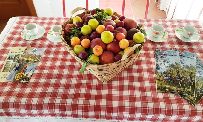 Borgo Other | - RELAXATION OFFER - IN AGRITURISMO