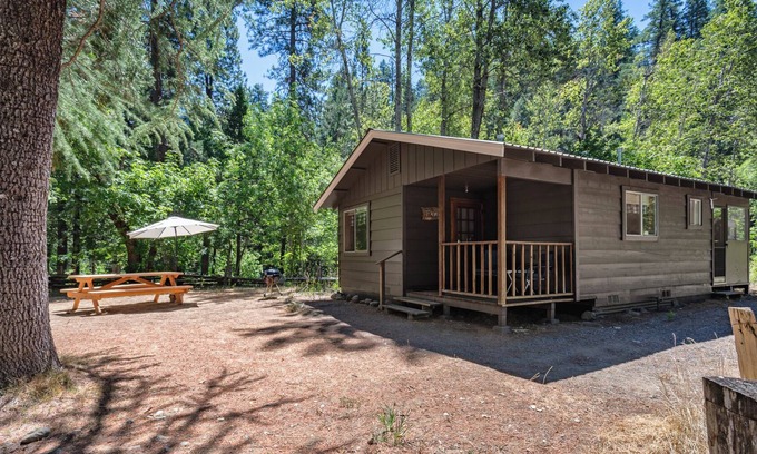 Coffee Creek Resort | Relaxing Fawn Cabin on Coffee Creek in Trinity Alps