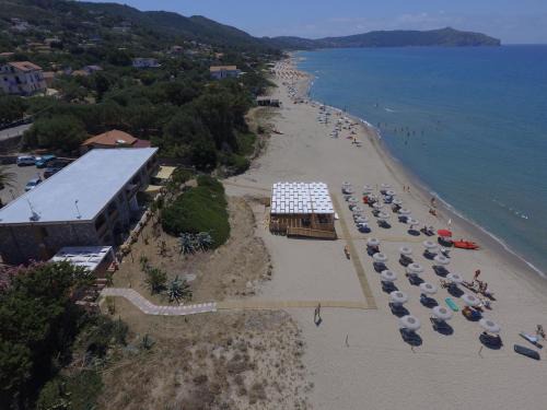 Marina di Pisciotta Apartment | Residence Le Palme - Appartamenti sul mare - Spiaggia tra Palinuro e Caprioli