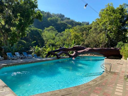 Minca Hostel | Rio Elemento