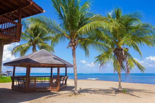 Antoneys Cay Apartment | Roatan Ocean View - ground floor apts