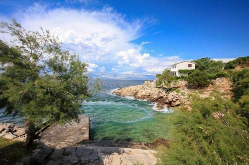 Gdinj House | Robinson Delphinus