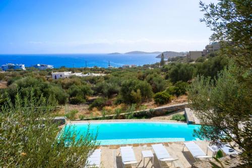Agios Nikolaos Apartment | Roots Suites in Crete