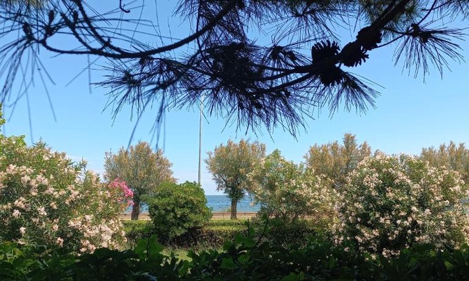 Roseto degli Abruzzi Apartment | RosMarino Appartamento Fronte Mare