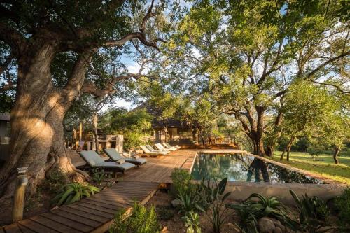 Hoedspruit Cabin | Rukiya Safari Camp