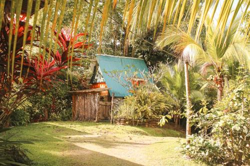 Pavones Apartment | Rustic Cabin in Pavones surf brake