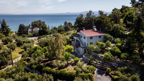 Kriopigi House | Salty Pines Villa