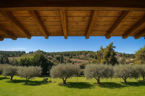Sane House | Sani Olive Grove Gem - The Ultimate Sunny Getaway