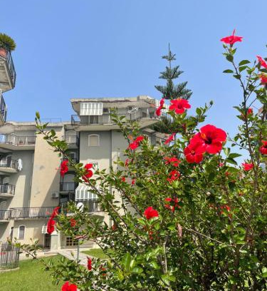 Scalea Bed & Breakfast | Savastano's Home