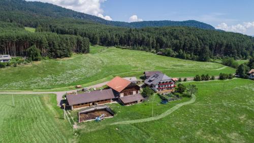Collalbo House | Schartnerhof