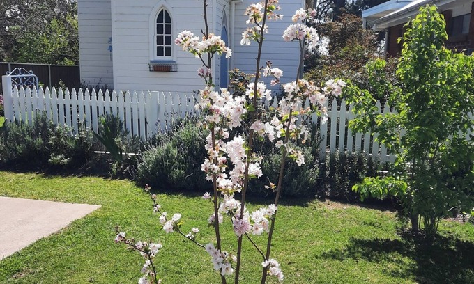 Central Mudgee House | Self Contained Restored Heritage c. 1914 Church