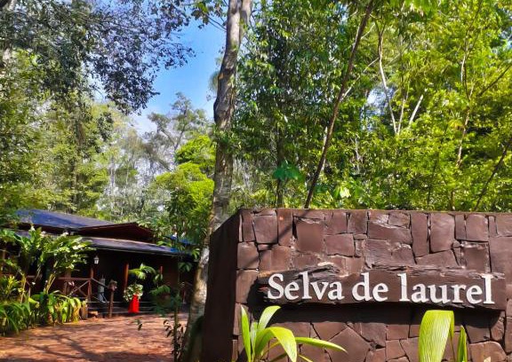 Puerto Iguazu Hotel | Selva de Laurel