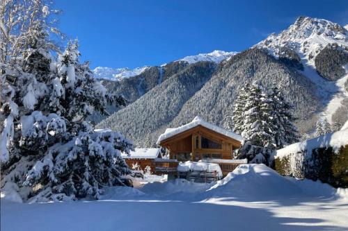Les Praz-de-Chamonix Ski Chalet | Semi Detached Chalet For 8 With Balcony & Garden