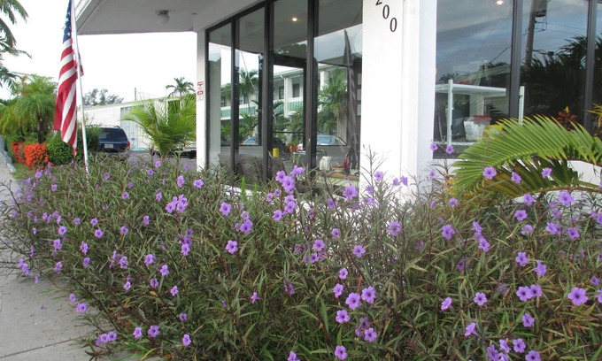 Northeast Miami Hotel | Shalimar Motel