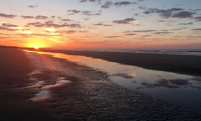 Isle of Palms Cottage | Short Walk to Beach- Close to Pier, Restaurants & Front Beach. Monthly Discounts