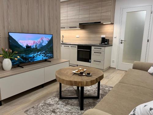 Dolni Morava Apartment | SIA Apartment